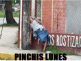 /album/fotogaleria/a431951-669542846404775-1917417700-n-jpg/